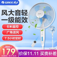 格力（GREE）電風(fēng)扇家用搖頭定時遙控立式辦公室宿舍客廳節(jié)能落地扇 一級能效